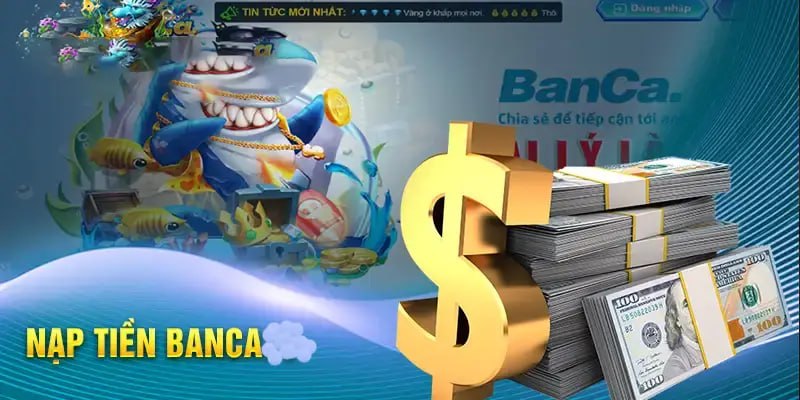 giới thiệu banca