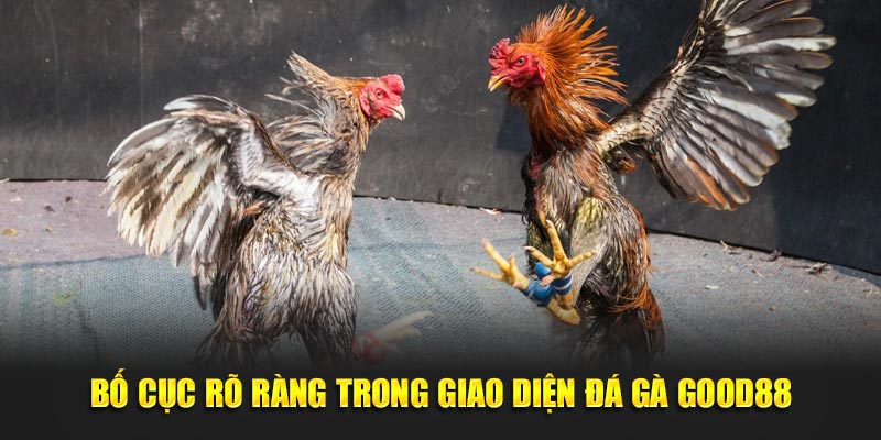 Bố cục rõ ràng trong giao diện Đá Gà Good88