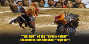 Đá Gà Good88